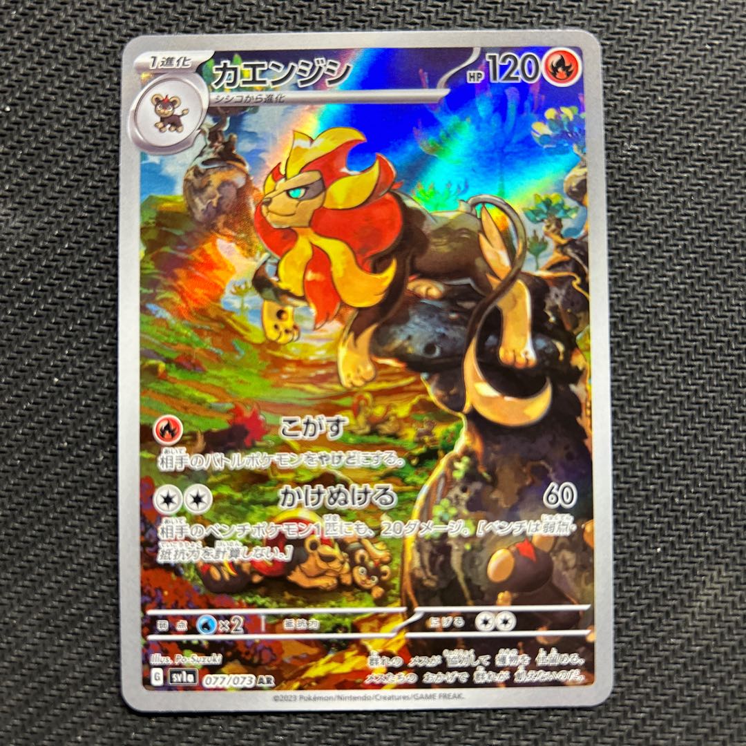 カエンジシ AR 077/073