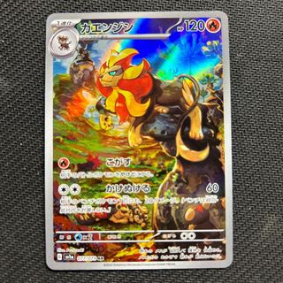 カエンジシ AR 077/073