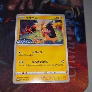 モルペコ　プロモ