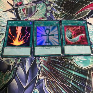 サンダーボルト 死者蘇生 ハーピィの羽根箒 ウルトラセット