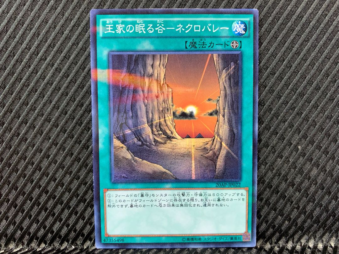【アゴ之内】遊戯王 王家の眠る谷-ネクロバレー ノーパラ