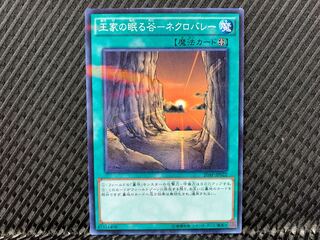 【アゴ之内】遊戯王 王家の眠る谷-ネクロバレー ノーパラ