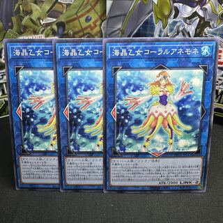 海晶乙女コーラルアネモネ ノーマル JP041