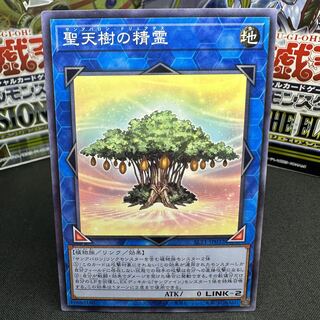 聖天樹の精霊 ノーマル JP032