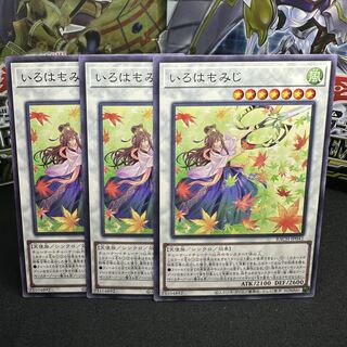 いろはもみじ ノーマル JP042