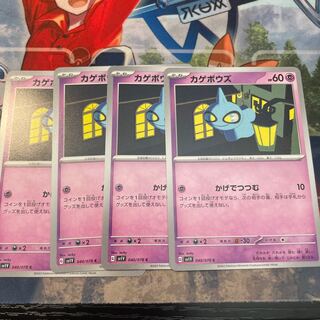 カゲボウズ C 040/078