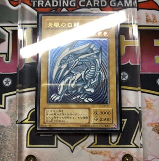 【希少、青艶】青眼の白龍　レリーフ　