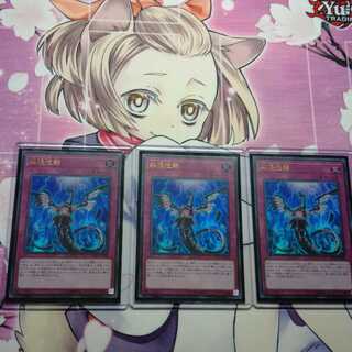 無限泡影　むげんほうよう　むげんほうえい　ウルトラ　レアコレ3