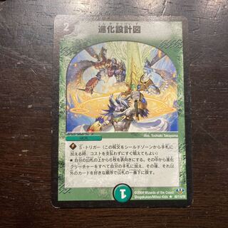 Evolutionary blueprint R 40/110/Y8