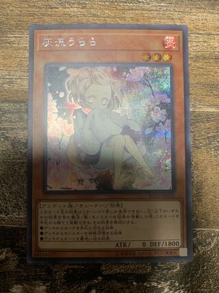 Ash Blossom & Joyous Spring (Umi outer printing illustration) Secret Rare JP010