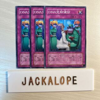 DNA定期健診 $7243