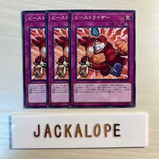 10788 ビーストライザー ノーマル JP074