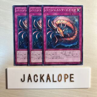 10795 バージェストマ・ピカイア ノーマル JP036