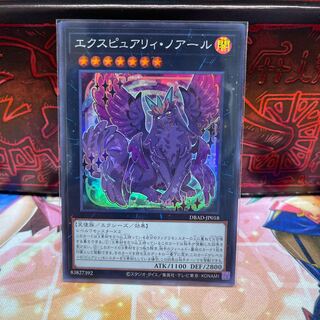 No.2009 P屋　エクスピュアリィ・ノアール 【スー】