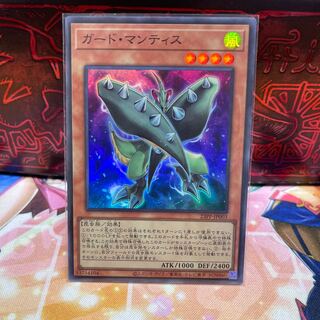 No.2013 P屋　ガード・マンティス 【スー】