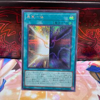 No.2018 P屋　表裏一体 【シク】