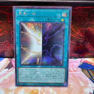 No.2022 P shop, two sides of the same coin [sic].