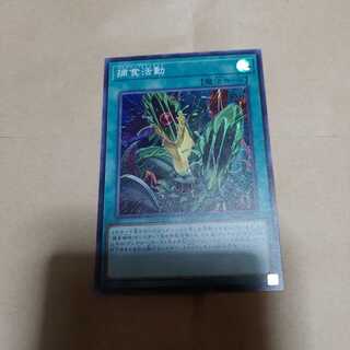 捕食活動　スーパー