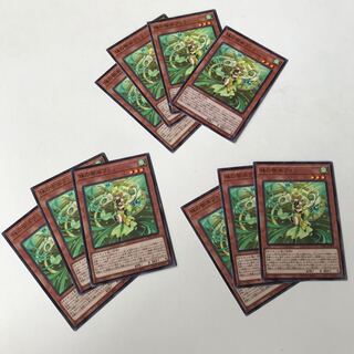 珠の御巫フゥリ レア JP019 セット　10枚