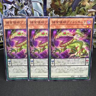 捕食植物ブフォリキュア ノーマル JP018