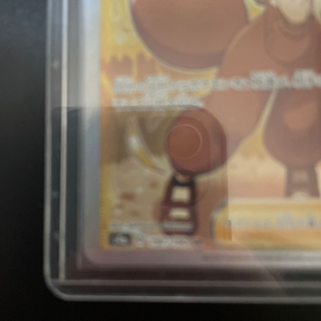 Poké Kid SR 197/190