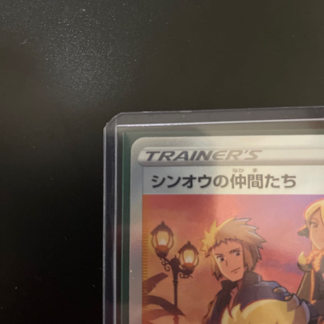 Shin-Oh's friends SR 247/172