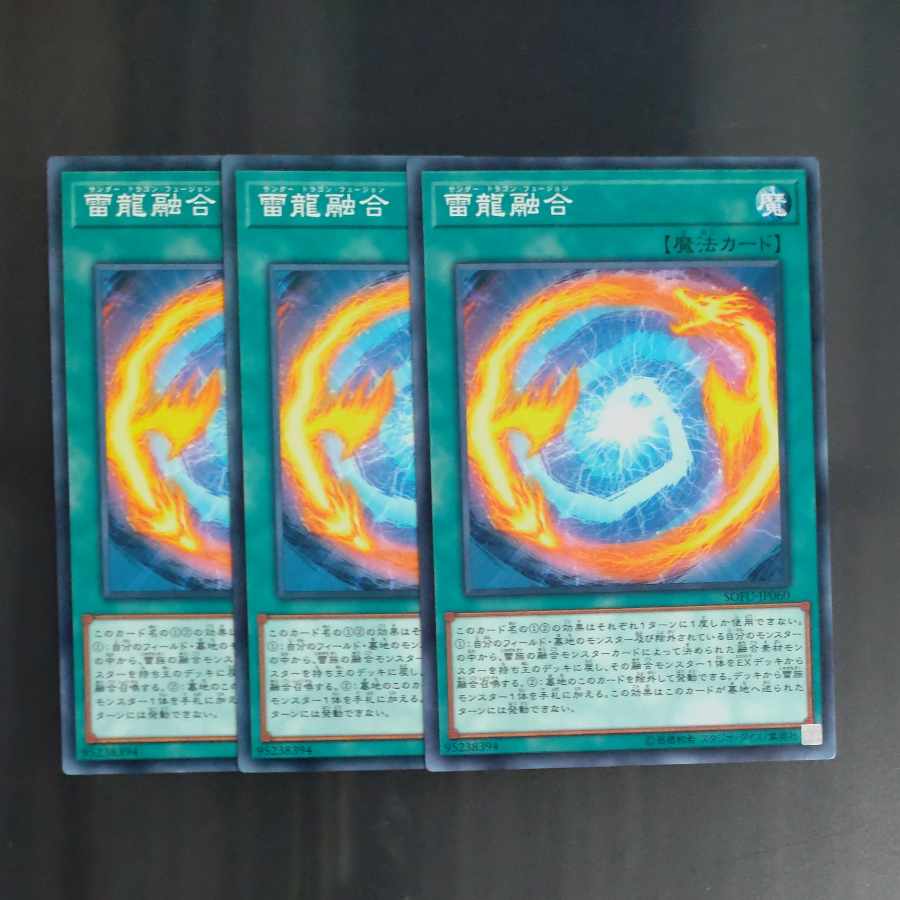 雷龍融合 ノーマル JP060✕3 【木林堂】