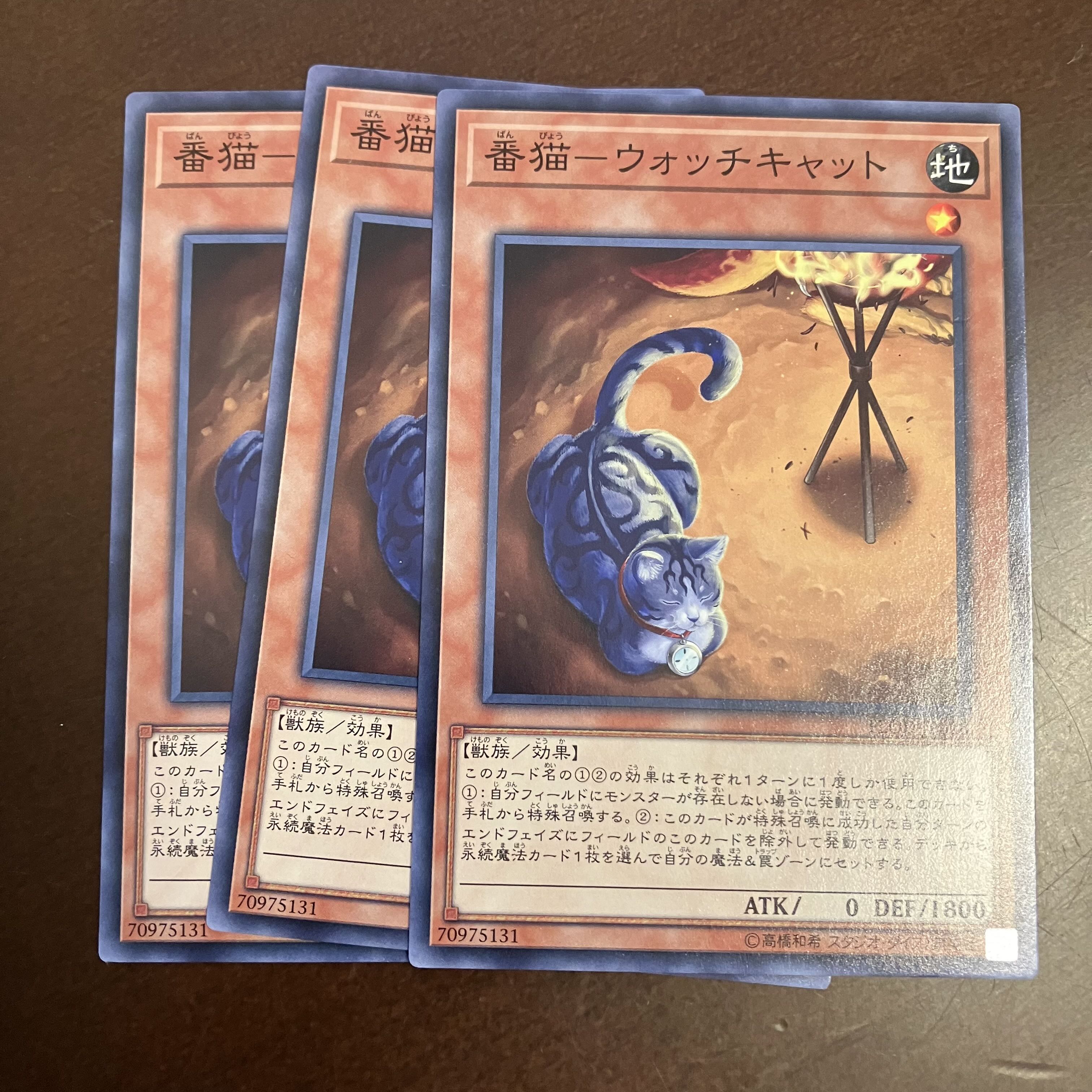 番猫-ウォッチキャット ノーマル JP028