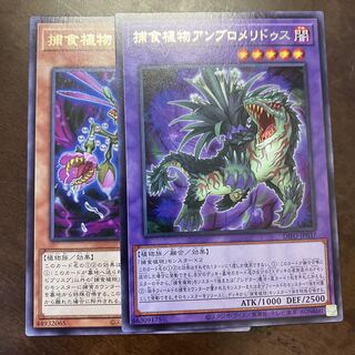 捕食植物 字レア セット