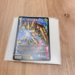 雷光の聖騎士  ライトニング・ソードパラディン