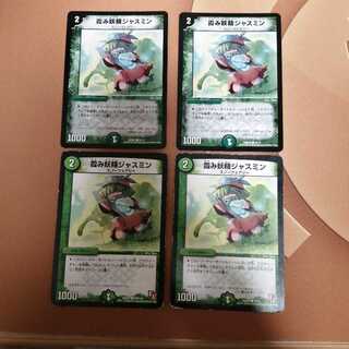 霞み妖精ジャスミン 4枚