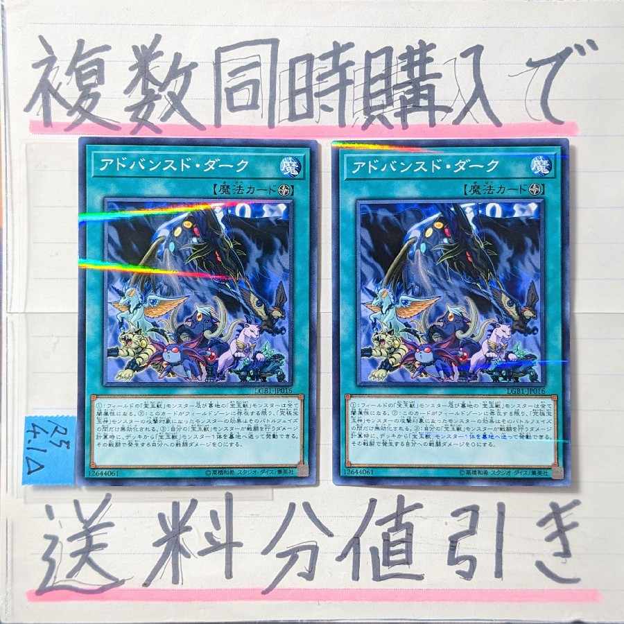 【複数同時購入で送料分値引き】アドバンスド・ダーク NP×2枚