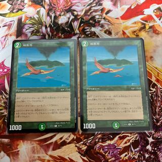 Birds of Paradise R 29/75