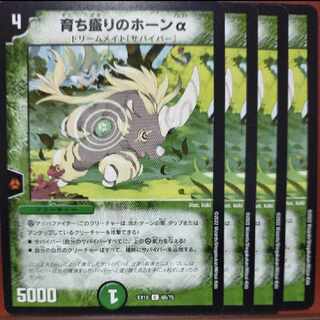 ougセット割引　育ち盛りのホーンα C 68/75