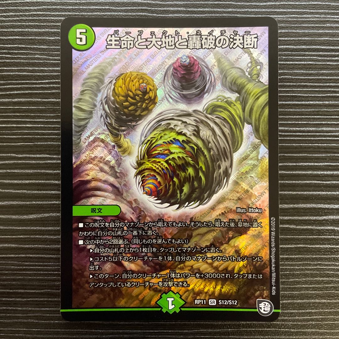 Life Life, Earth and Roaring Decision SR S12/S12