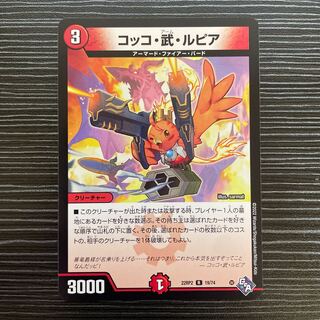 Cocco Bu Lupia R 19/74