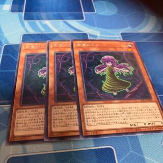 聖蔓の乙女 レア JP028