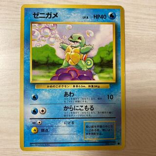 The early bird gets the worm] Old Back Squirtle Lv.8