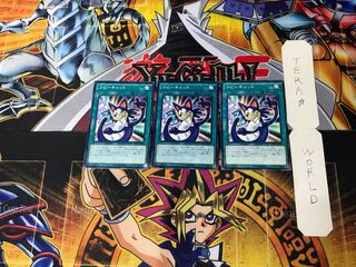 Mimicat 2 Normal, set of 3 Tera