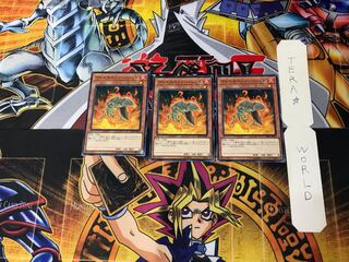 Volcanic Shell 5 Normal, set of 3 Tera