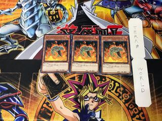 Volcanic Shell 7 Normal, set of 3 Tera