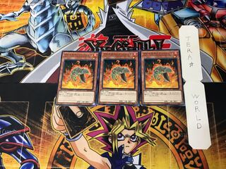 Volcanic Shell 8 Normal, set of 3 Tera