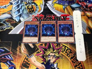 Shaddoll Hedgehog 5 Normal, set of 3 Tera