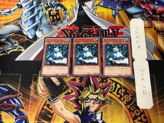 Snowman Eater 1 Normal, set of 3 Tera.