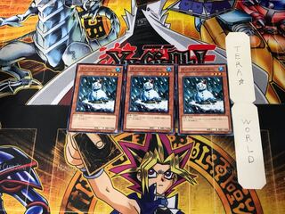 Snowman Eater 5 Normal, set of 3 Tera.