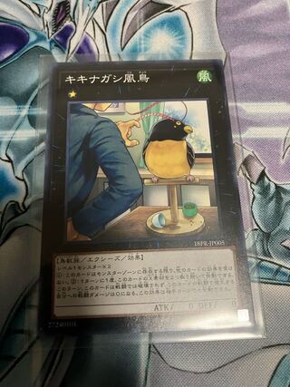 キキナガシ風鳥 ノーマル JP005