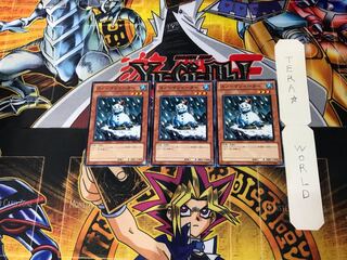Snowman Eater 10 Normal, set of 3 Tera.