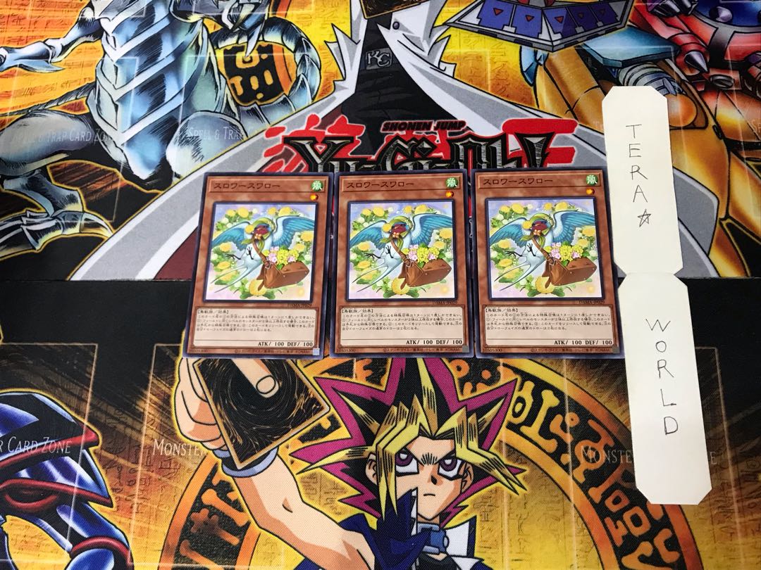 Slower Swallow 1 Normal, set of 3 Tera.