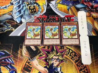 Slower Swallow 1 Normal, set of 3 Tera.