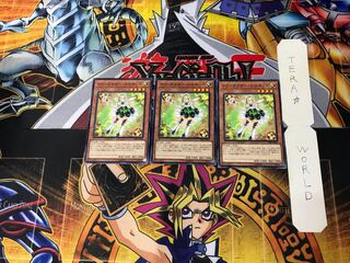 Trickstar Narkissus 1 Normal, set of 3 Tera